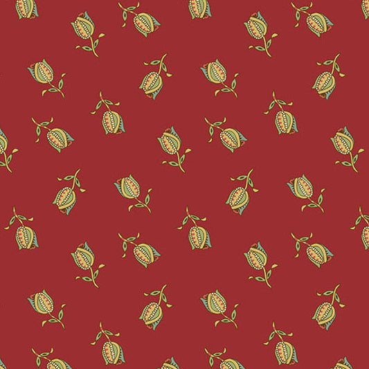 Jingle Bell || Ornamental Tulips || Cranberry