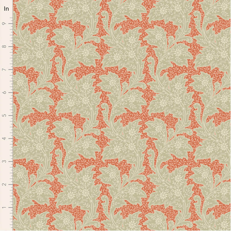 Songbird || Stella Coral