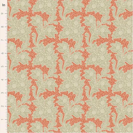 Songbird || Stella Coral