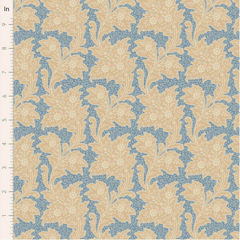 Songbird || Stella Blue