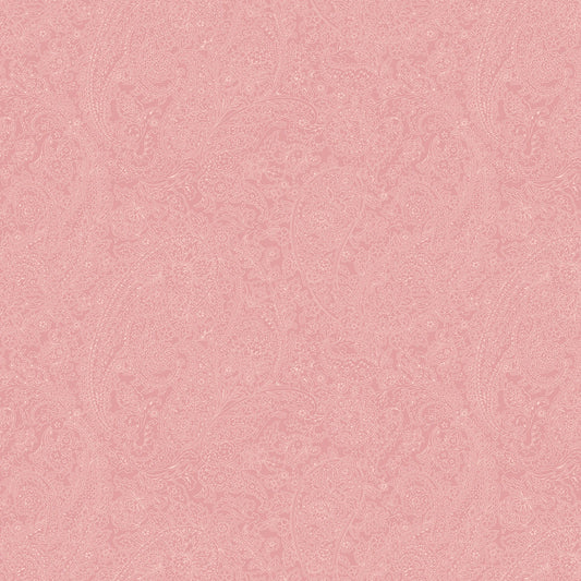 Meadow Blush || Pink Paisley Lines