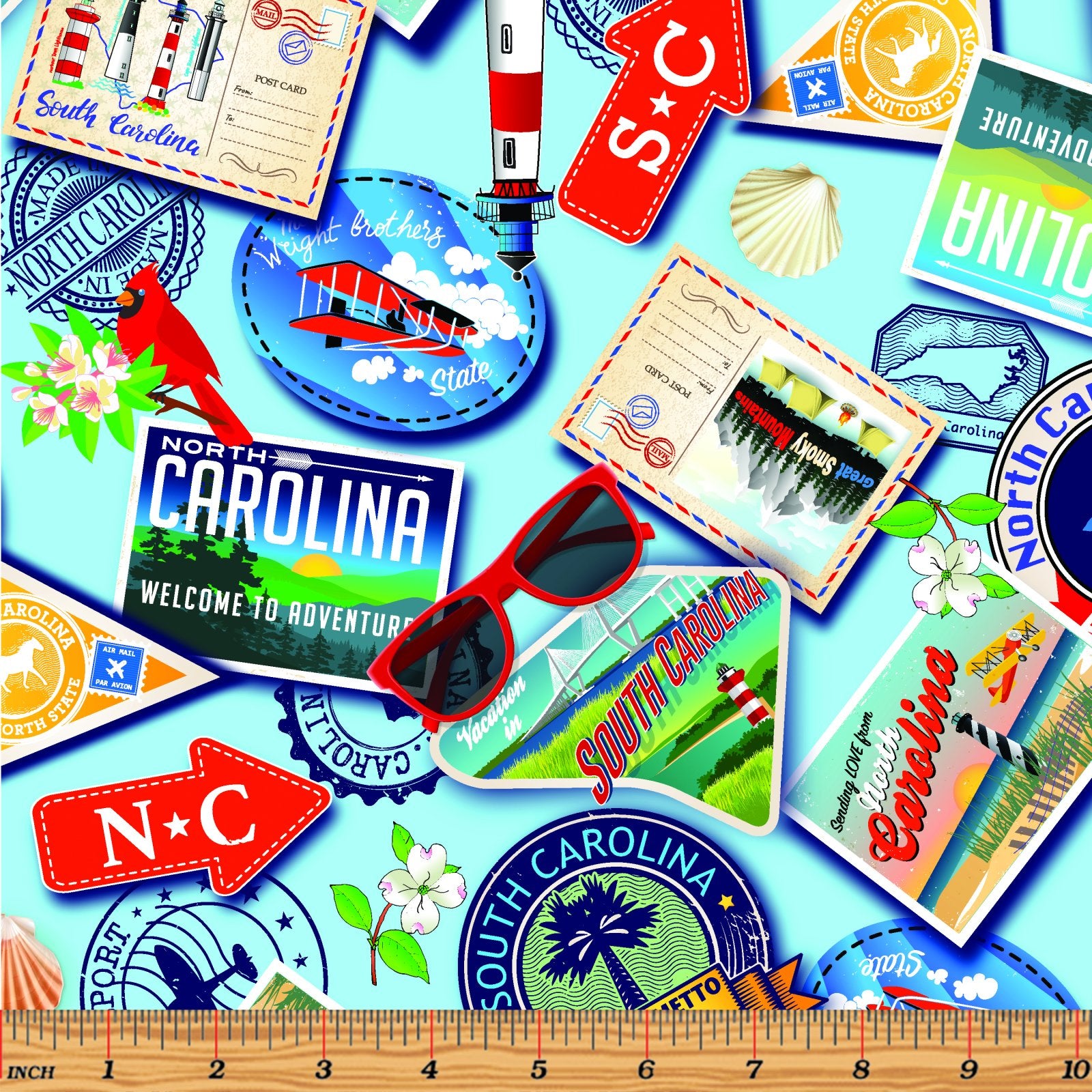 ACSH 2022 Carolina Greetings Light Blue