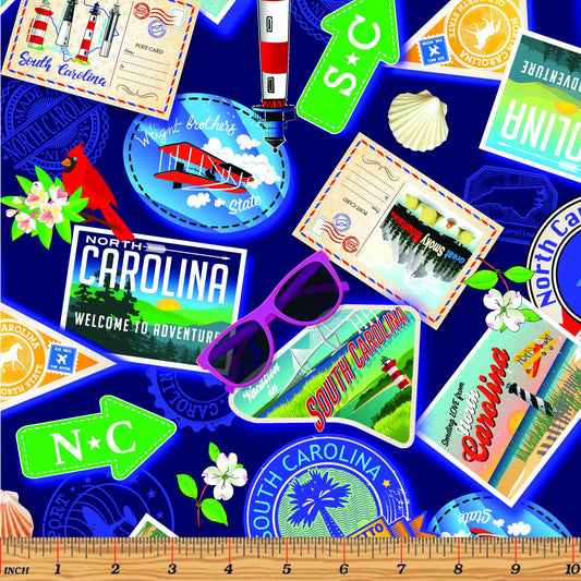 ACSH 2022 Carolina Greetings Navy