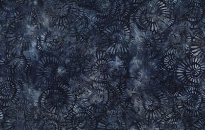 Forest Trail || Navy || Swirls