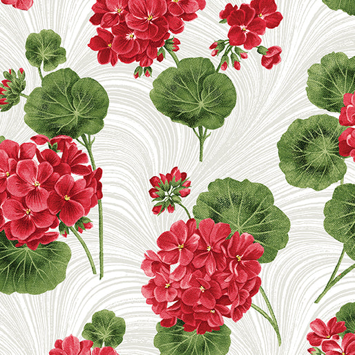 Betty's Geraniums || White