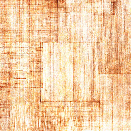Into the Woods Wood Texture Wheat Fabric by QT Fabrics
