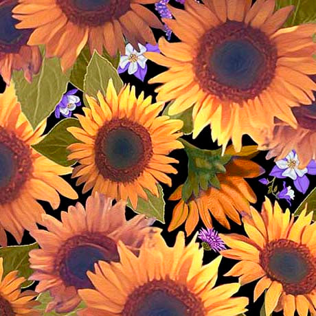 Mountains Are Calling || Sunflowers