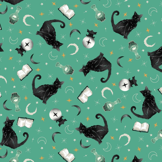 Witchy Wicked || Black Cats, Crystal Balls, and Potion Books || Turquoise