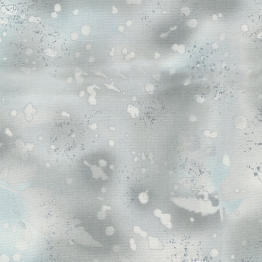 Fossil Fern Cloudy Day