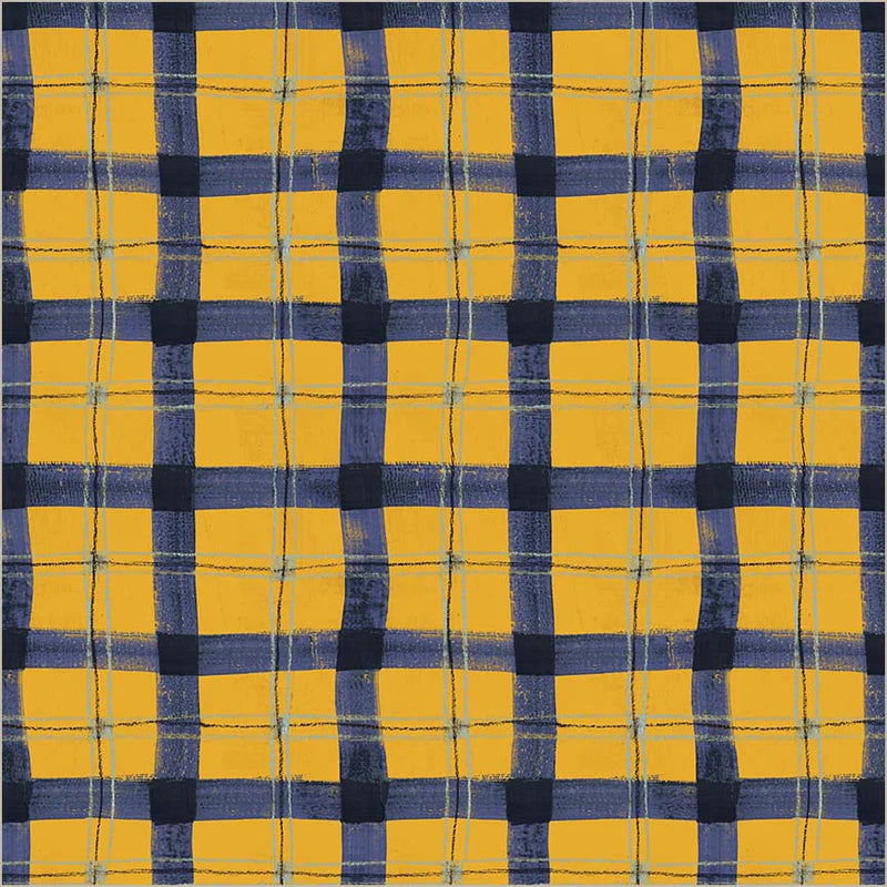 The Plaid One || Proper Plaid || Summertime