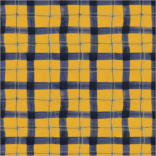 The Plaid One || Proper Plaid || Summertime