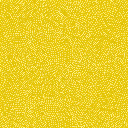 Rainbow Vale || Ditsy Dot || Sunshine