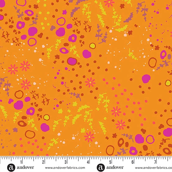 Sun Print 2026 || Equanimity Squash