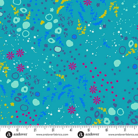 Sun Print 2026 || Equanimity Pond