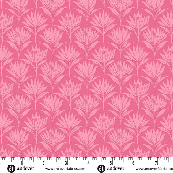 Sunset Cottage || Water Lilies || Pink