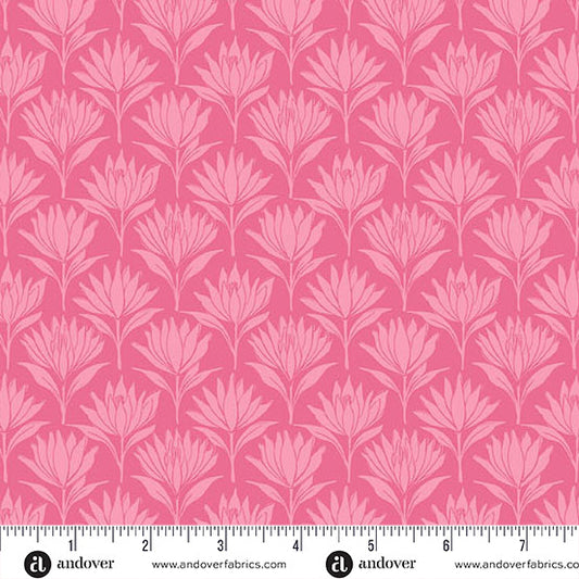 Sunset Cottage || Water Lilies || Pink