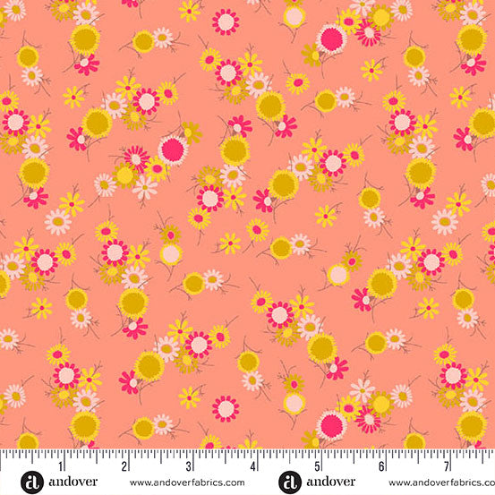 Jinny || Daisy Chain || Flamingo