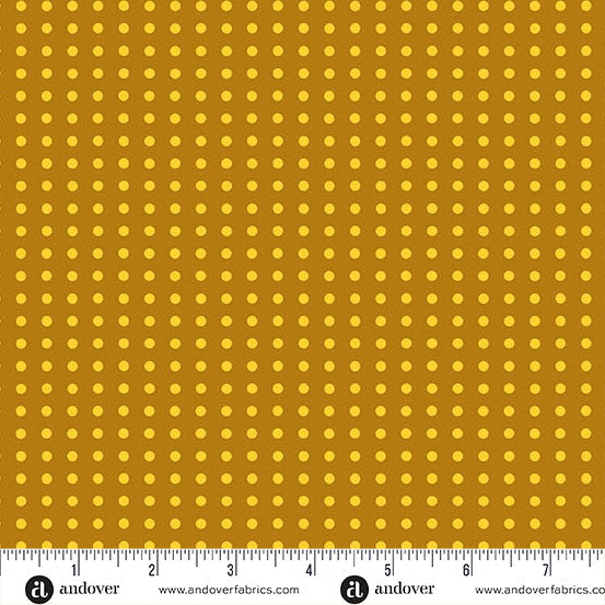 Jinny || Dotty || Butterscotch
