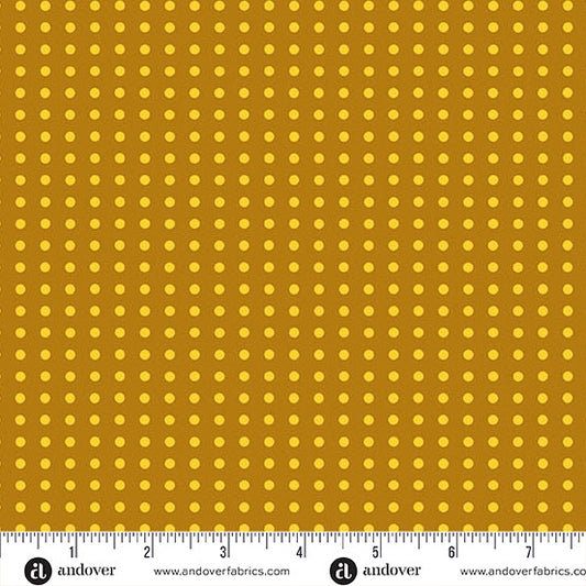 Jinny || Dotty || Butterscotch