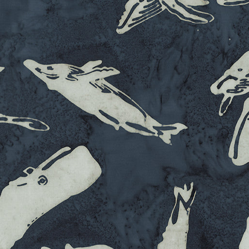 Bali Under The Sea || Whales ||  Navy