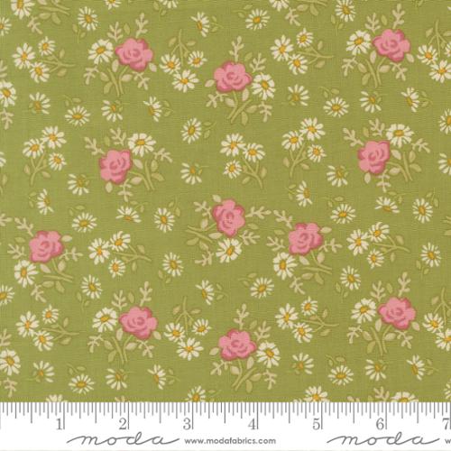 My Secret Garden || Rose Garden || Grass