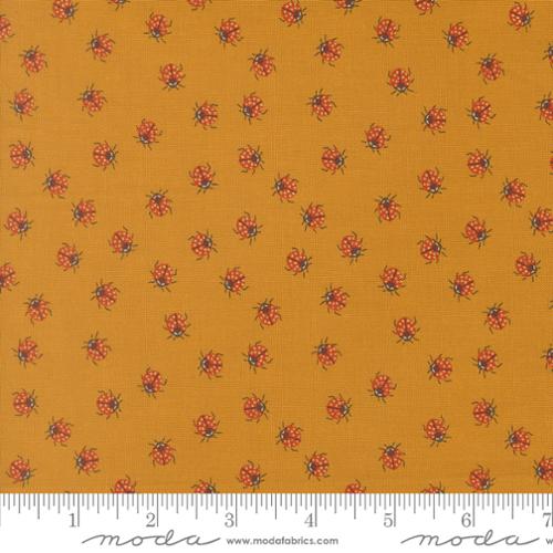 Ladybug Whimsy || Ladybug || Golden