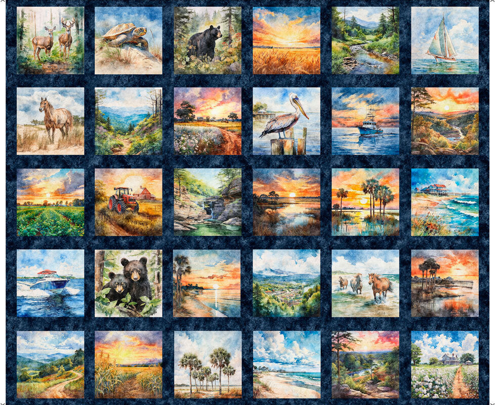 ALL CAROLINA SHOP HOP 2025 - CAROLINA VIGNETTES PATCHES