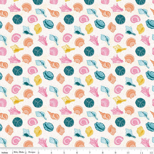 Reef || Shells Multi