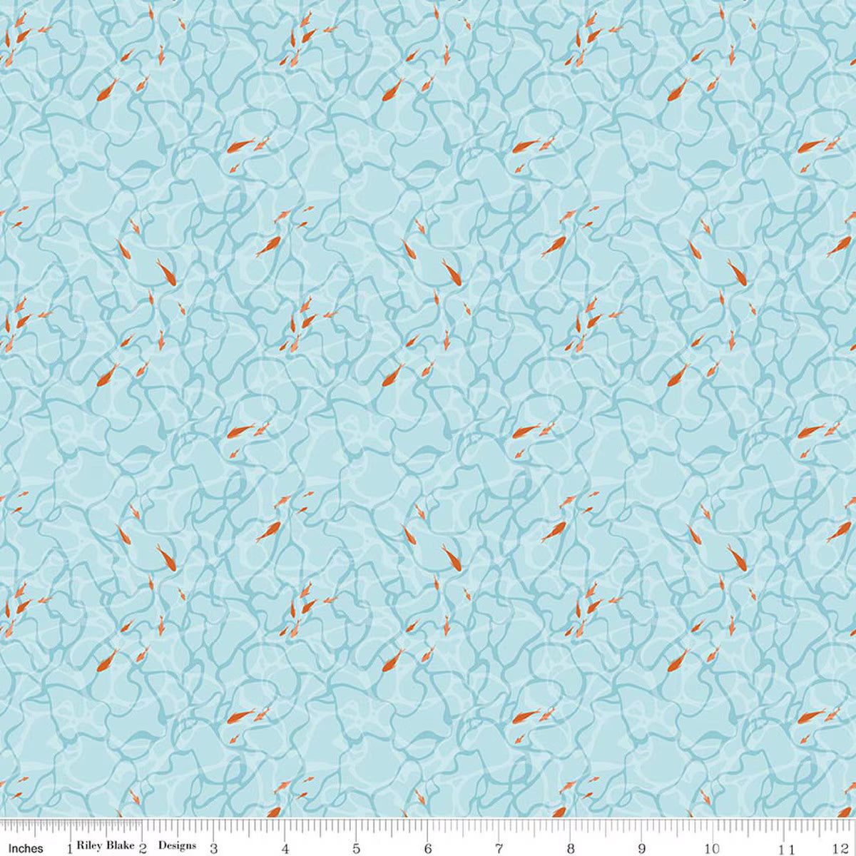 Reef || Ocean Floor Sky