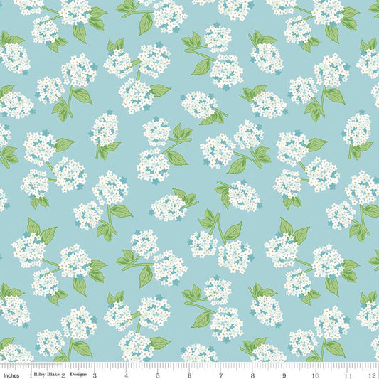 Correspondence || Hydrangeas Aqua