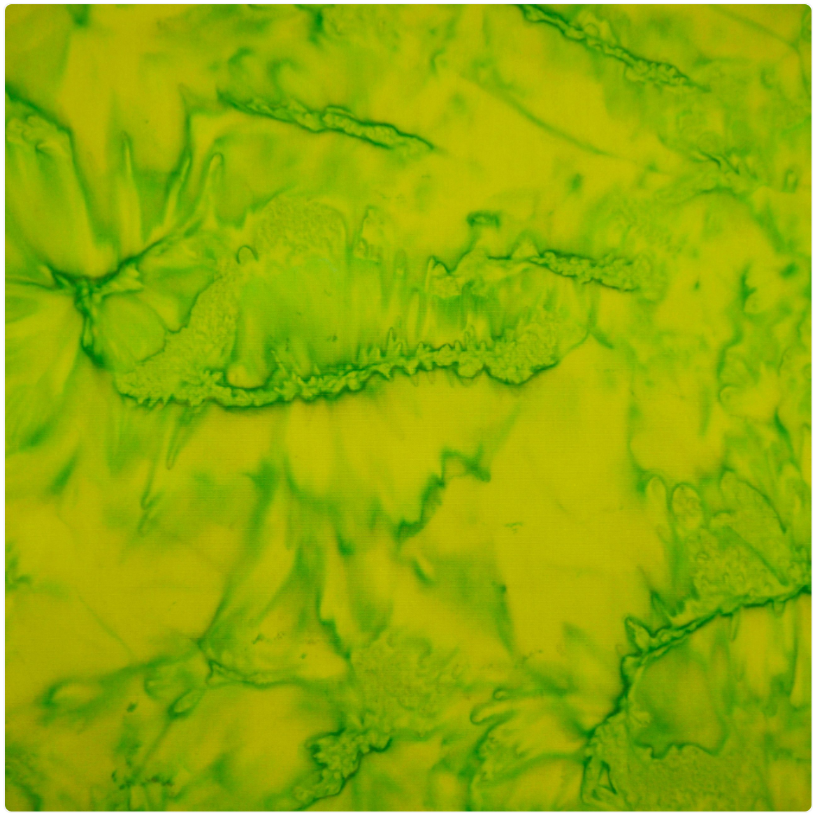 Batik by Mirah The Princess Palette PP-167 Green Flash