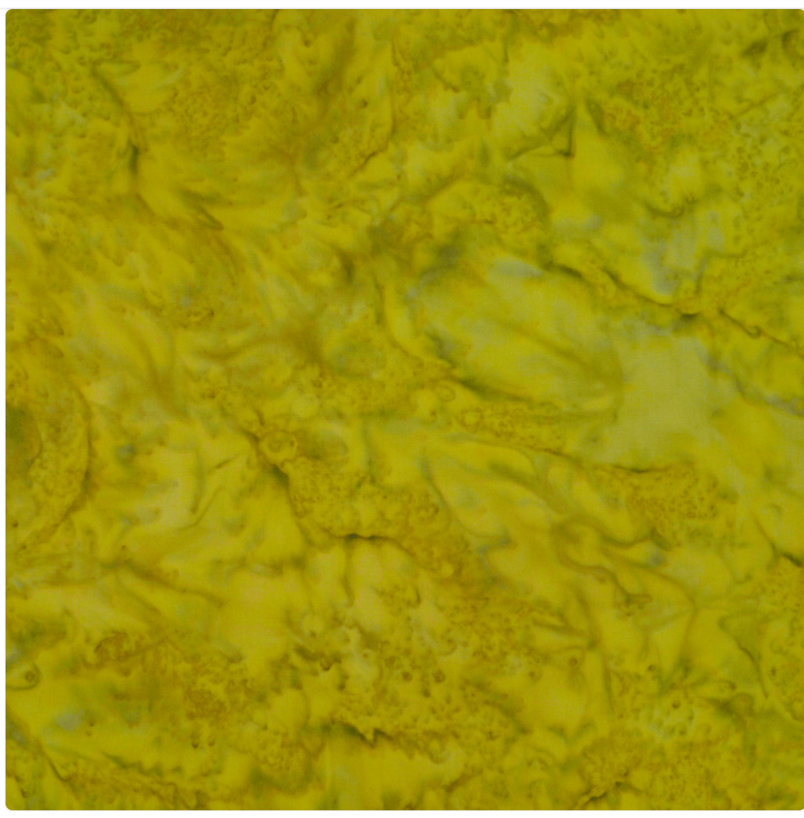 Batik by Mirah The Princess Palette PP-169 Honey Gold