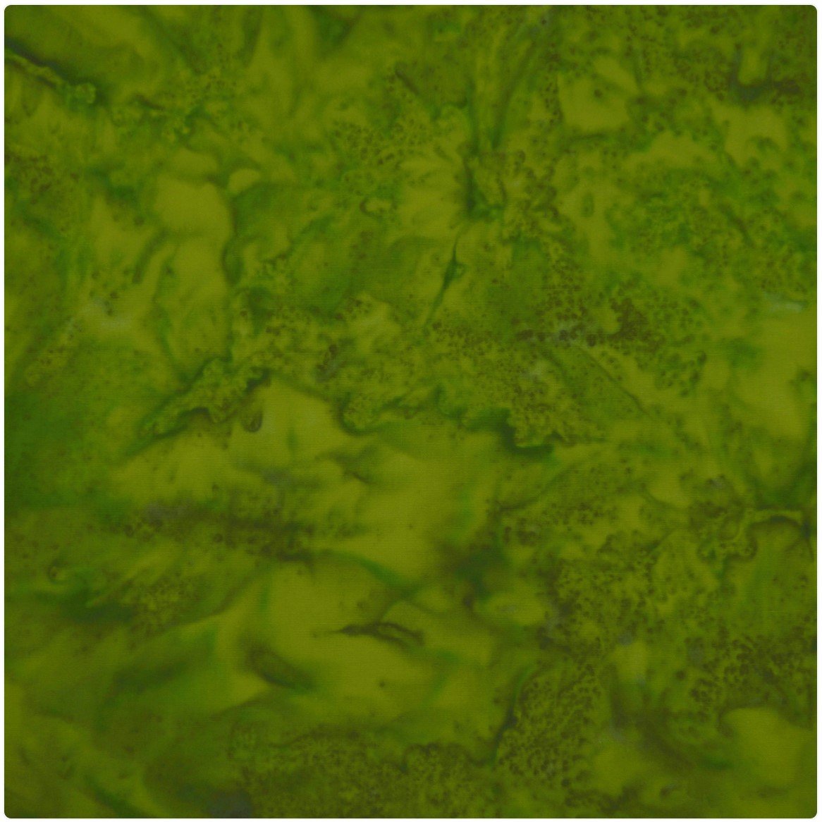 Batik by Mirah The Princess Palette PP-171 Grove