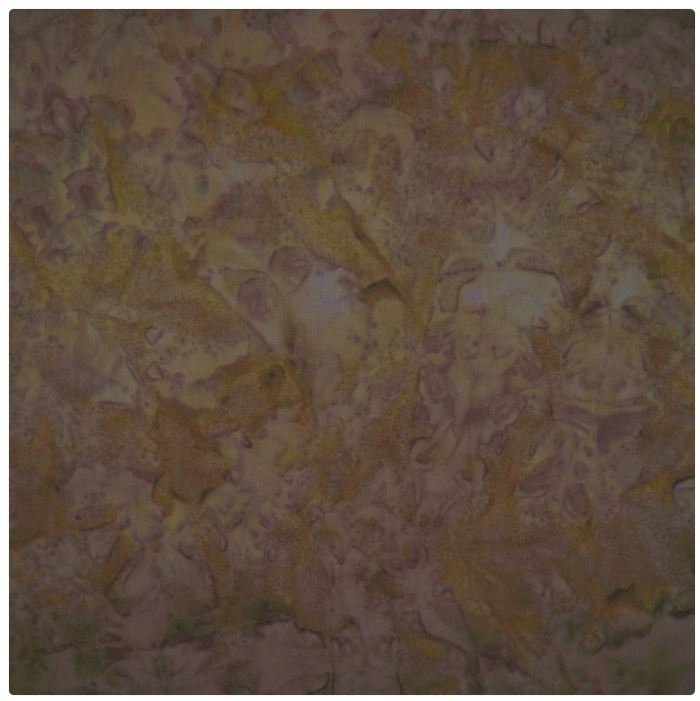 Batik by Mirah The Princess Palette PP-119 Cypress