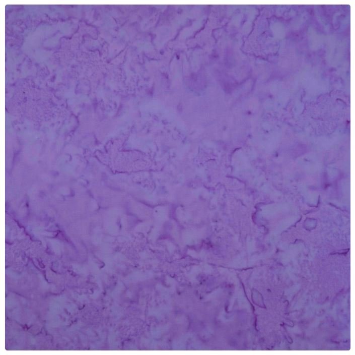 Batik by Mirah The Princess Palette PP-141 Lavendula