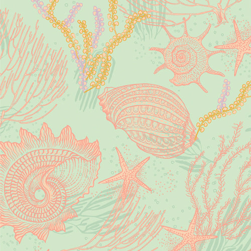 Costeira Tesouros do Oceano