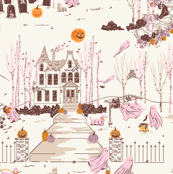 Ghostly & Haunted Ghost Town