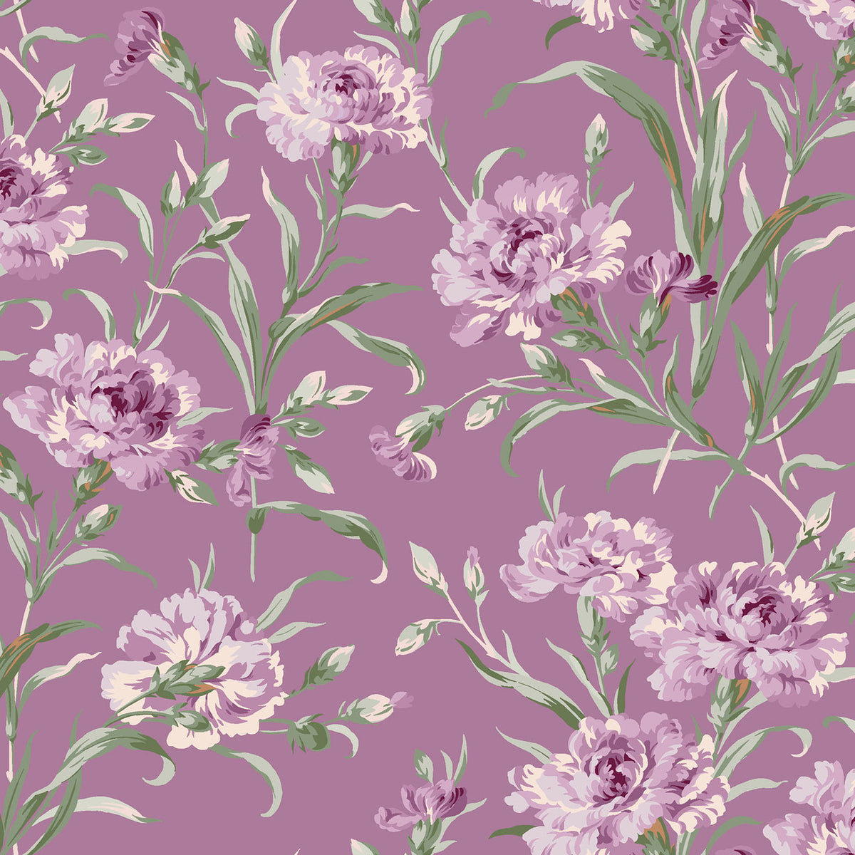 Courtland || Trailing Carnations || Plum