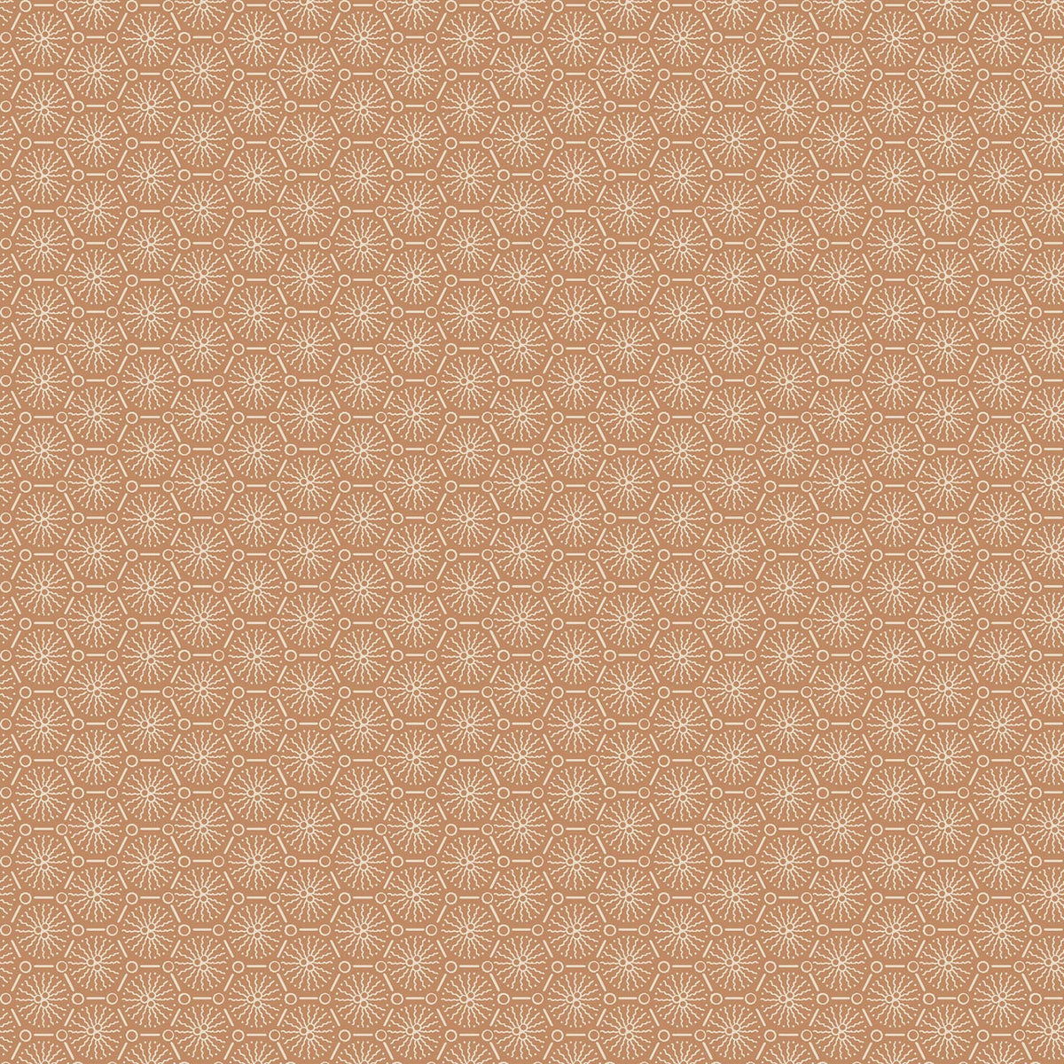 Courtland || Lace || Cinnamon