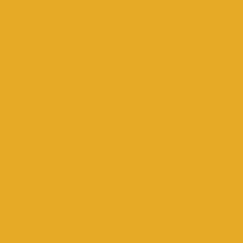 Pure Solids || Turmeric