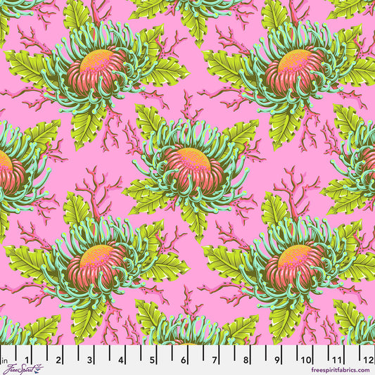 Floral Reef || Friends & Anemones || Coralline