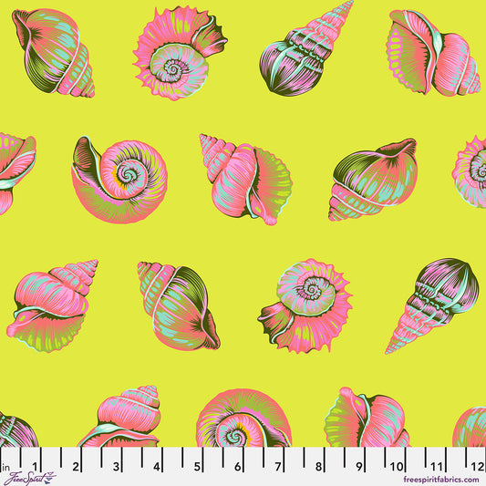 Floral Reef || Lil Shelly || Seagrass