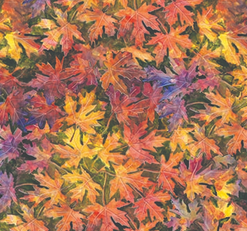 Forage & Fodder Multi Colored Leaves