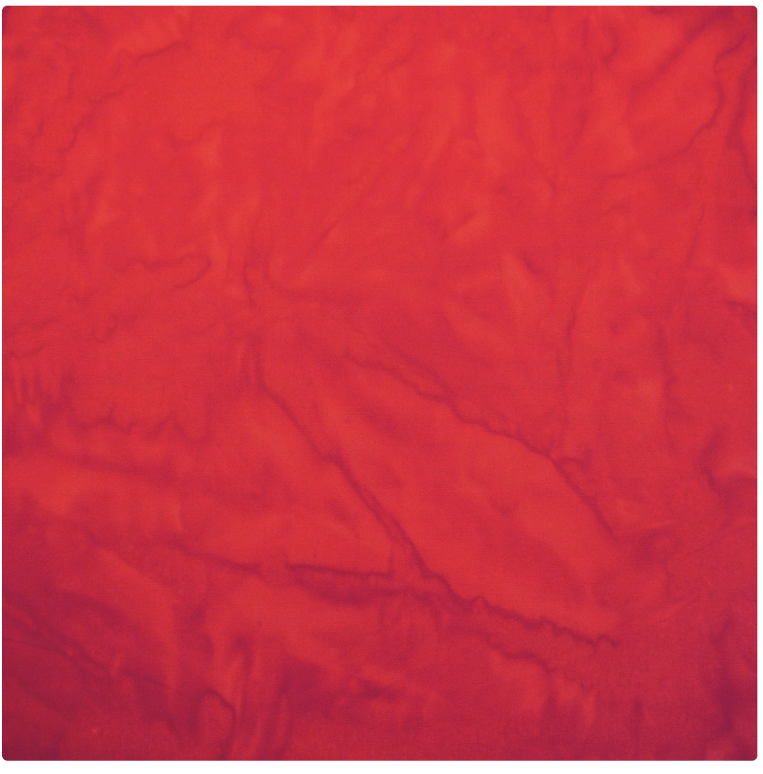 Batik by Mirah Jingle and Jungle - Red