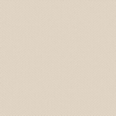 Poppy Seed || Putty
