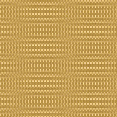 Poppy Seed || Honey