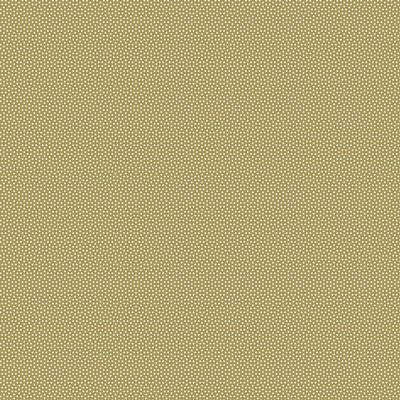 Poppy Seed || Olive