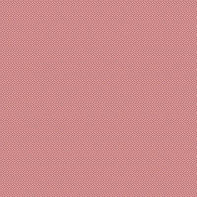 Poppy Seed || Redwood