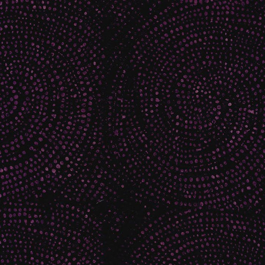 Tonga || Dotty Spiral || Crush