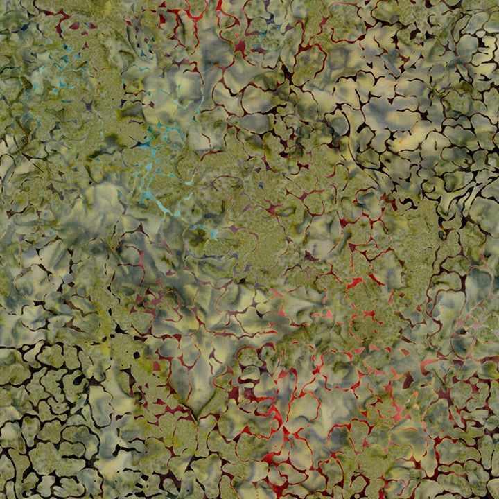 Tonga || Cracked Flowers  || Vine